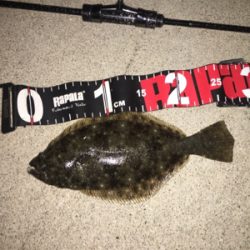 アジに振られはするものの