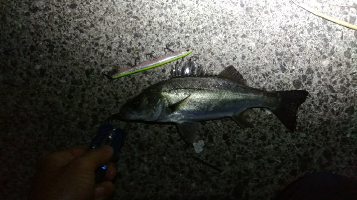 いい勉強になりました。