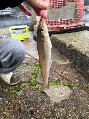 キスシーズン到来‼︎