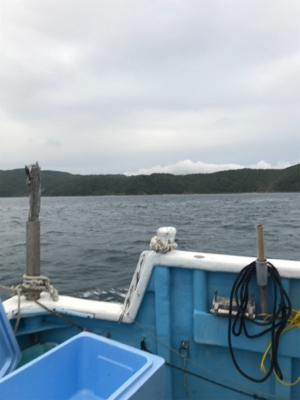 太刀魚 ジギング