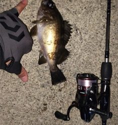 城崎旅行のついでに…