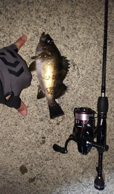 城崎旅行のついでに…