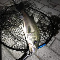 たった1本。ワンチャンス。