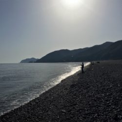 淀川ブリームゲーム ショアジギング遠征