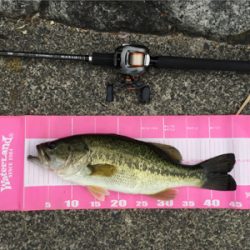 夕方になんとか取れました。