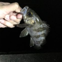 爆風ライトゲーム