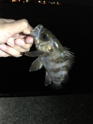 爆風ライトゲーム