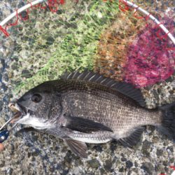 雨降り前に。。