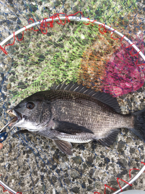 雨降り前に。。