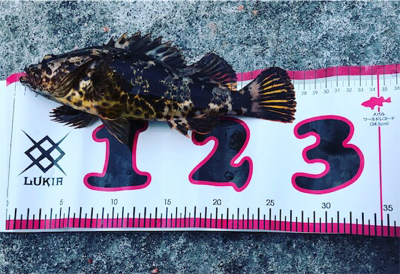 記録更新ー！！