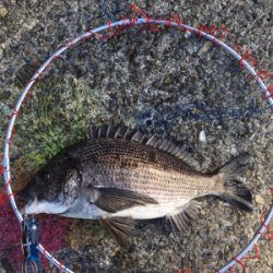雨のあと肌寒く反応も渋い