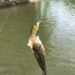 石川県 多根ダム釣行