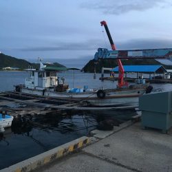 風の中のソルパラ