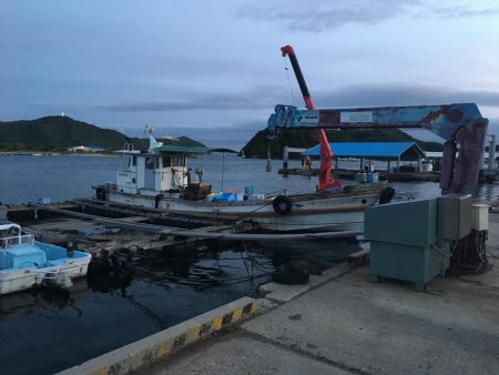 風の中のソルパラ