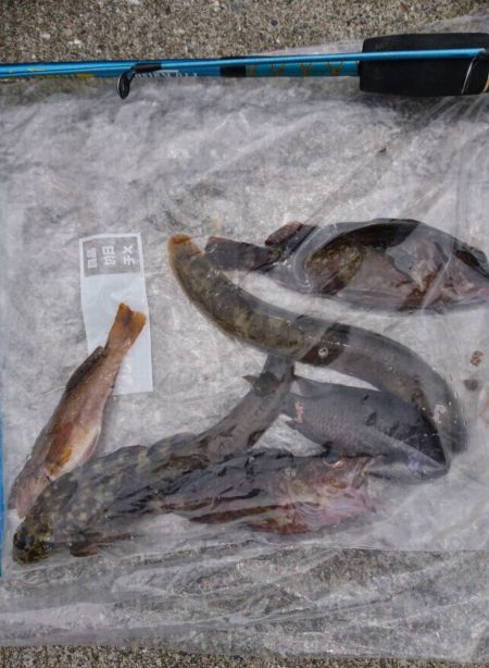 ホームで穴釣り