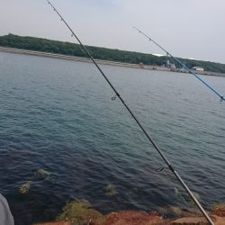 キスはどうやろ?