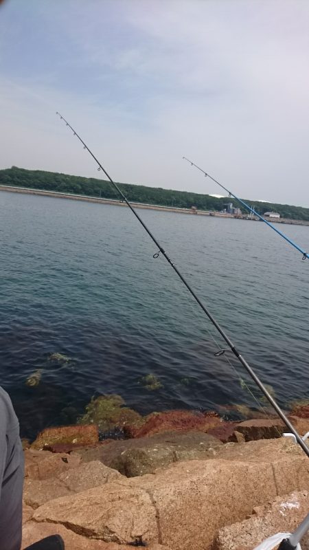 キスはどうやろ?