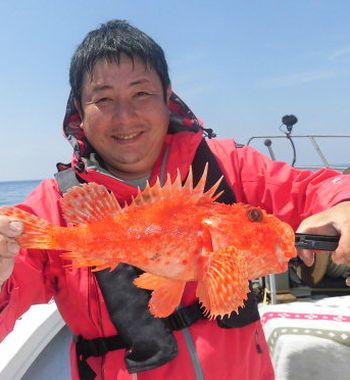 土佐安芸のハマちゃんの釣果