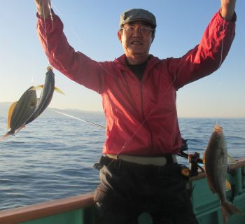 土佐安芸のハマちゃんの釣果