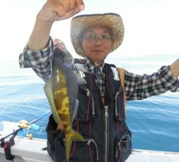 土佐安芸のハマちゃん