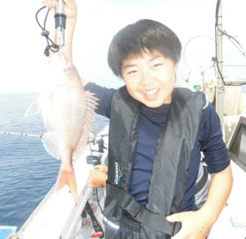 土佐安芸のハマちゃん