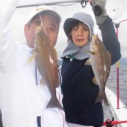 土佐安芸のハマちゃん