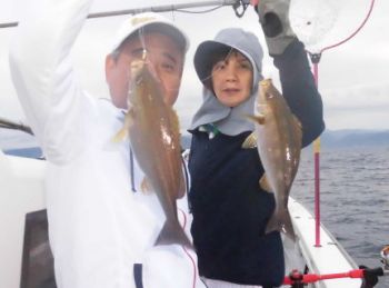 土佐安芸のハマちゃん