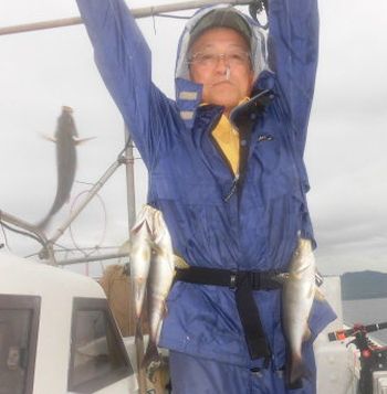 土佐安芸のハマちゃんの釣果