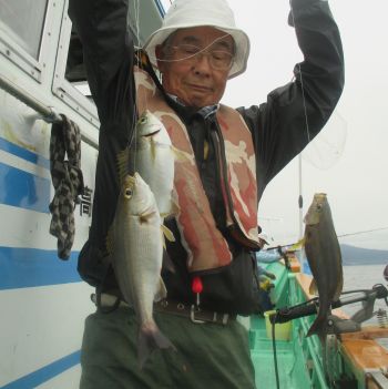 土佐安芸のハマちゃんの釣果