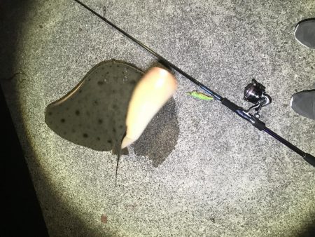 今年はまだまだ時期が早かった