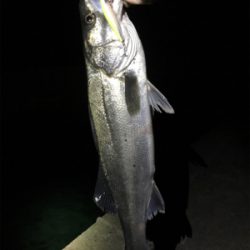 リベンジ達成‼️