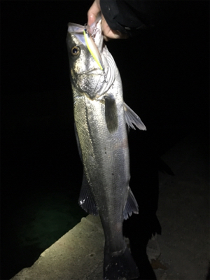 リベンジ達成‼️…