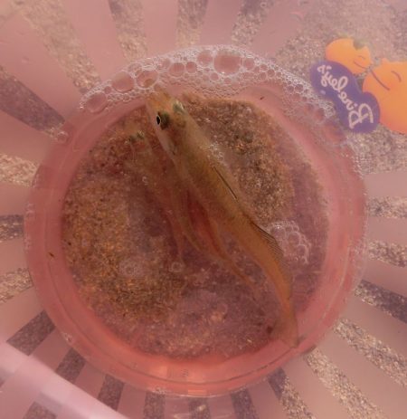 キス本格シーズン到来！