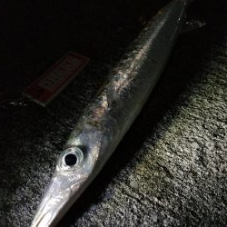 宮古島　平良港にてライトゲーム