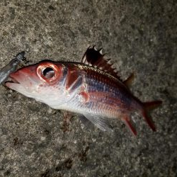 荷取川漁港　宮古島