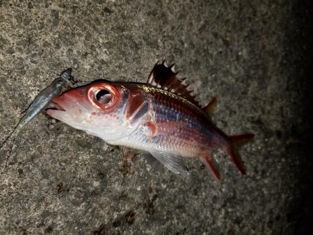 荷取川漁港　宮古島