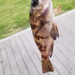 夢メッセ横にて