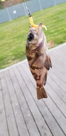 夢メッセ横にて