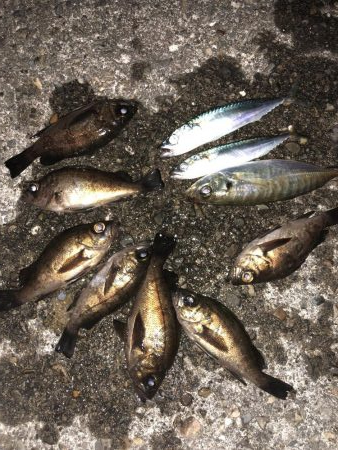 やっぱり足下は強かった…