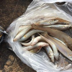 数は伸びたがサイズが…