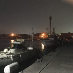 ガシラ狙いで釣行