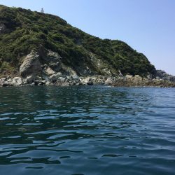 青物不発からのカワハギ