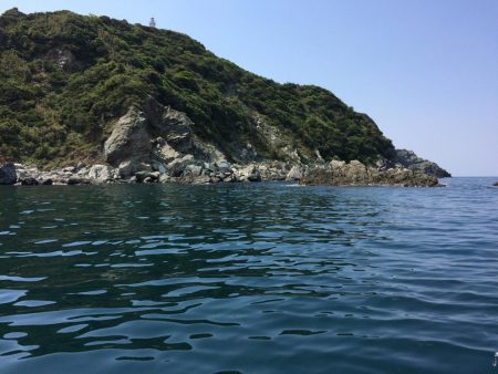 青物不発からのカワハギ