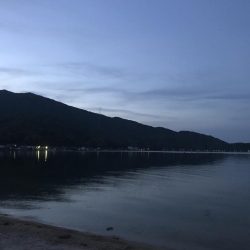 シロギス乗っ込み寸前！