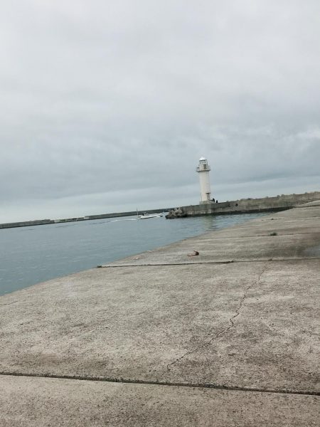 久しぶりの釣果