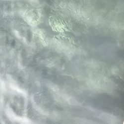 アジングからの〜