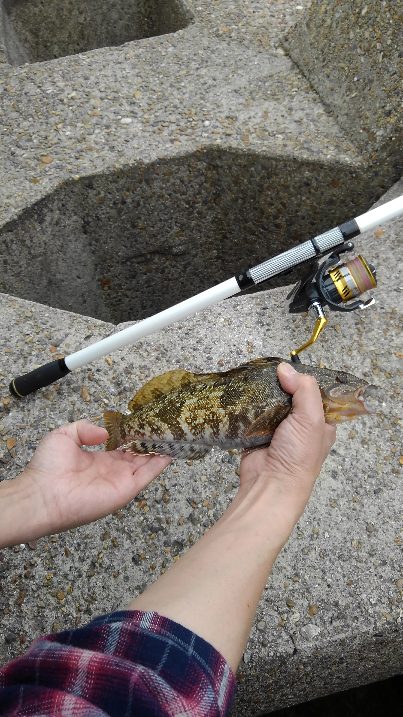 会社の釣り仲間と釣行