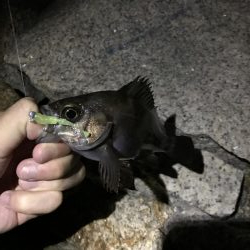 いつもと違うパターン