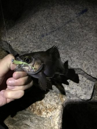 いつもと違うパターン