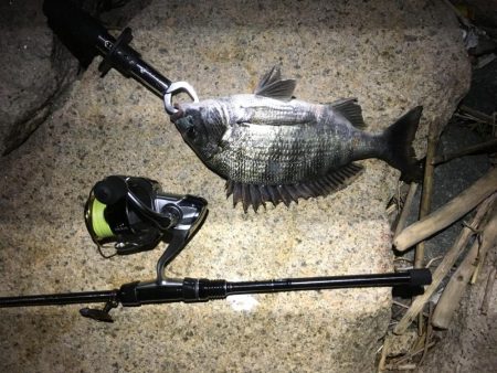 劇浅 淀川チニング